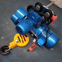 Palans de levage de matériaux 500 kg Modèle MD Grue à pont électrique à câble métallique 10 tonnes Télécommande Monorail Moteur 0,55 kW