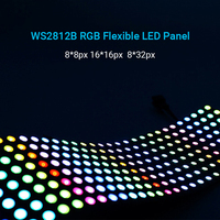 Matrice de points LED adressable 256 pixels, panneau lumineux LED RGB WS2812B 16*16 pixels
