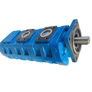 Pompe à huile hydraulique Huamao pour grue modèle 1010000017 Origine Shandong Garantie 1 an Matériel pour rapport fourni - Product Image 6