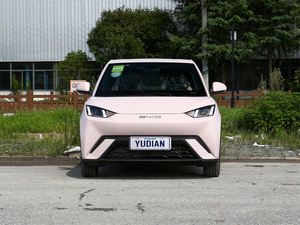 Chine Byd Seagull Byd Dolphin Mini Véhicule Ev Byd Seagull Flying 2024 Pour Taxi Nouvelle Énergie Voitures Électriques Véhicules - Product Image 3