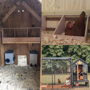 Nichoirs triples en bois pour poulets, accessoires de poulailler, nichoirs de poulet pour la ponte des œufs - Product Image 5