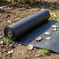Toile tissée anti-mauvaises herbes en PP blanc pour un contrôle efficace des adventices dans votre aménagement paysager