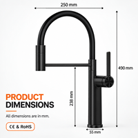 Robinet de cuisine noir mat extractible en alliage de zinc avec douchette rétractable en silicone, rotation à 360 degrés, pour évier à montage sur comptoir