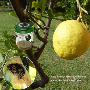 Pièges à guêpes solaires d'extérieur, lot de 2, suspendus, réutilisables, attrape-abeilles, tue-guêpes solaire, piège à abeilles - Product Image 6