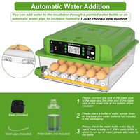 Incubateur d'œufs intelligent entièrement automatique avec un taux d'éclosion élevé pour usage agricole 220V