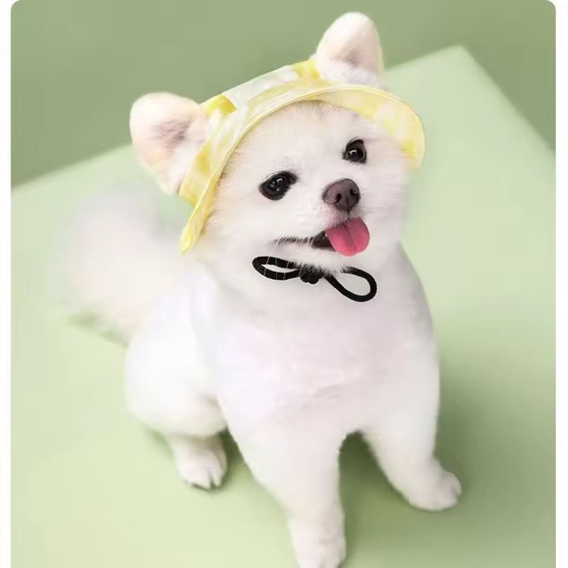 สีเหลือง