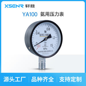 Manomètre à vide Suzhou Xuansheng Ya100 100 mm -0,1 à 1,5 MPa pour ammoniac, raccord fileté en acier - Product Image 3