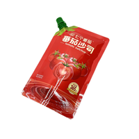 Sac d'emballage en plastique de ketchup de tomate pour l'emballage liquide poche jetable en gros personnalisée de bec pour le jus