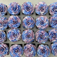 Bunga mawar alami abadi harga grosir bunga mawar asli untuk buket bunga mawar untuk Hari Valentine
