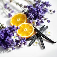 Divain Parfums 019 para Él, Fragancia Fougere con Aroma a Lavanda Primaveral, Intensidad Moderada, Estilo Moderno, Perfume Masculino de España