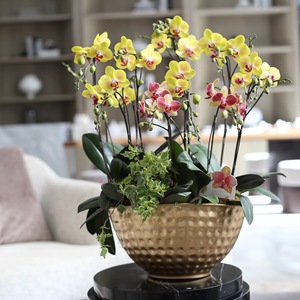 <b>Orchid</b> Flower Arrangement Golden Iron <b>Pot</b> Handmade Festive Celebration Chinese New Year Decor - Product Image 2