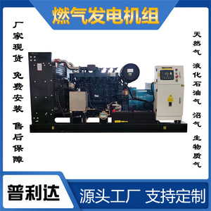 Generador de Gas Pulita, Motor a Gas LPG/CNG, Ecológico, para Uso Industrial - Product Image 5
