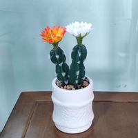 Mini Cactus Artificiel Réaliste en Pot Blanc pour la Décoration Intérieure de la Maison, du Bureau ou de la Table