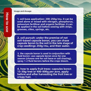 Phân bón hữu cơ phân bón Boron dạng hạt cho trái cây và rau quả giúp tăng cường sự phát triển của cây con và tăng năng suất - Product Image 5