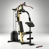 Machine à exercices multifonctionnelle à bras unique pour pectoraux et deltéens arrière, à charge libre, pour usage commercial