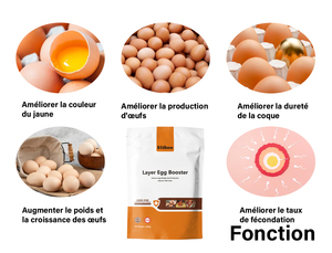 Groeibevorderaar Dierlijke Aanjager Snelle Groei En Additieven Voor Pluimvee Premix Pluimvee Probioticum - Product Image 3