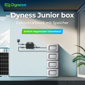 ชุดระบบพลังงานแสงอาทิตย์สำหรับระเบียงแบบเสียบปลั๊กพร้อมใช้งาน Dyness พร้อมไมโครอินเวอร์เตอร์โซลาร์ PV Hub แบตเตอรี่ Lifepo4 1.6 กิโลวัตต์ชั่วโมง อายุการใช้งาน 8000 รอบ - Product Image 6