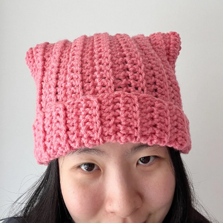 Trendy Knitted Cat Ear Beanie Hat For Women & Girls - Oem