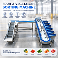Modulaire doos sorteermachine, eenvoudige montage voor kleine en middelgrote fruit- en groenteverwerkingsbedrijven