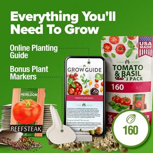 Tomates de jardin 8 variétés anciennes pour la plantation 100% non-OGM De Tomates - Product Image 5