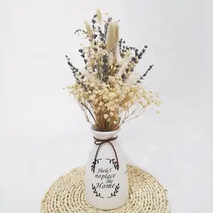 Heißer Verkauf Artikel erhalten natürliche echte getrocknete Lagurus Lavendel für Blumen sträuße, Bunny Rabbit Tail Grass für Home Decor