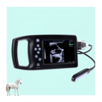Sonde linéaire rectale intégrée A8, échographie équine portable pour l'imagerie professionnelle dans les grandes exploitations bovines et équine