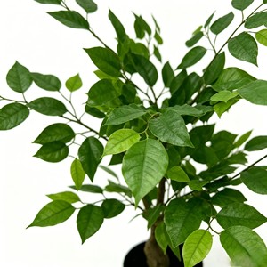 <b>Artificial</b> Banyan <b>Trees</b> - Product Image 6