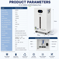 Batería LiFePO4 de 51.2V 300Ah, 15360Wh, de pie, para almacenamiento de energía solar, respaldo doméstico, fuera de la red, con BMS, 6000 ciclos