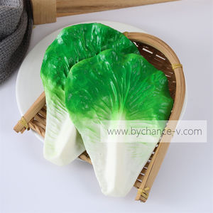 Échantillons <span class=keywords><strong>de</strong></span> feuilles <span class=keywords><strong>de</strong></span> laitue artificielles réalistes et durables pour les expositions <span class=keywords><strong>de</strong></span> musées, <span class=keywords><strong>la</strong></span> science, l'agriculture, <span class=keywords><strong>la</strong></span> botanique et les présentations en laboratoire pédagogique - Product Image 4