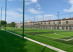 Bệnh kháng nhân tạo bóng đá Turf dtex 8000-15000 cao su infill PP Net SBR ủng hộ - Product Image 3