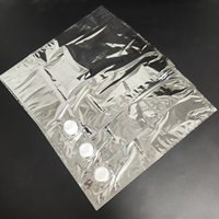 Sac BIB en aluminium avec valve pour boisson gazeuse, boîte de liquide aseptique de qualité alimentaire en sachet
