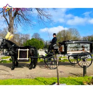 Tang lễ vận chuyển ngựa điện xe tang quan tài xe tùy chỉnh vận chuyển chất lượng cao xe ngựa kéo xe tang - Product Image 4