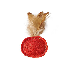 Nuevo juguete para gatos con forma de pluma, antiarañazos, para autoentretenimiento, mordeduras y limpieza de dientes. - Product Image 1