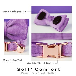 Purple Vee Personalized Ca & Small Dog Collar Bow <b>Tie</b> Leash Se,Free Engraved Kien Puppy Name Tag,Gold Bell,Pe Birhday - Product Image 5
