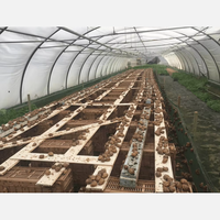 Serre d'élevage d'escargots pour l'agriculture