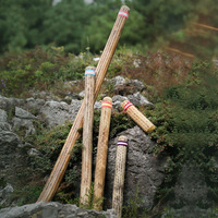 Natural Thick Cactus Rainstick Musical Instrument Rain Stick for Sound Healing Meditation Therapy Percussion