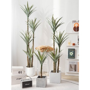 Vente en gros : Plante artificielle en soie de 1,8 m, Arbre du Dragon en <span class=keywords><strong>pot</strong></span>, Verdure réaliste <span class=keywords><strong>pour</strong></span> la décoration de la maison, des hôtels, des mariages, des remises de diplômes et du Nouvel An - Product Image 1