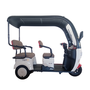 <span class=keywords><strong>Europa</strong></span> Alemania Australia <span class=keywords><strong>3</strong></span> ruedas 650W triciclo eléctrico superpotente para adultos 1 pieza con techo - Product Image 3