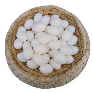 Suministros postales para palomas, productos relacionados con palomas, huevos de Paloma realistas, huevos artificiales de plástico sólido de alta calidad para incubación - Product Image 1