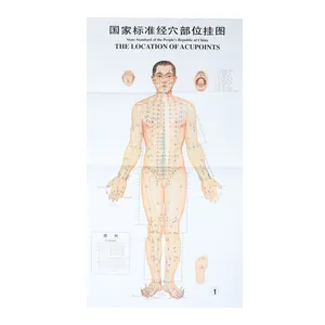 Standart ülke akupunktur noktası duvar grafiği insan vücudu akupunktur noktaları meridyen harita öğretim şeması
