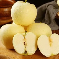Gouden Delicious Appels Exportkwaliteit Verse Gele Appels Met Premium Verpakking Voor Internationale Kopers