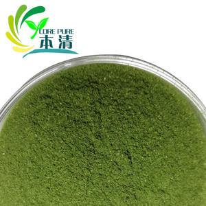 ツルシホリーバジルパウダー食品グレード100% 天然ホリーバジルパウダー - Product Image 3