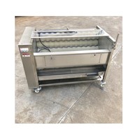 Automatische Data Palm Reinigen Polijsten Machine Borstel Roll Droge Wasmachine Voor Datum