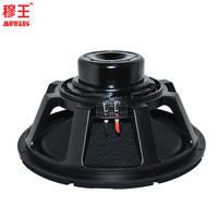 Woofer extérieur audio professionnel de 15 pouces avec haut-parleur de ligne Soeaker à bord en mousse Offre Spéciale l'usine OEM ODM WLR1500