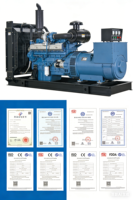 Generatore Diesel Raffreddato ad Acqua 15kw 20kw 25kw 30kw 50kw, Generatore Elettrostatico, Prezzo Conveniente, Generatori Diesel Elettrici Portatili Silenziosi