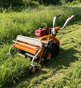 Broyeur d'herbe diesel refroidi par eau avec embrayage intégré et blocage de différentiel pour serres, jardins potagers, fossés et désherbage - Product Image 3