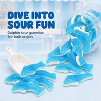 OEM ODM Zure dolfijnvormige gummy snoepjes fruit smaak zachte jelly snoepjes groothandel lage prijs
