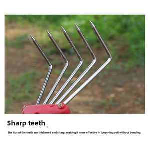 Râteau de plage en acier inoxydable <span class=keywords><strong>pour</strong></span> creuser des <span class=keywords><strong>palourdes</strong></span>, attraper des <span class=keywords><strong>palourdes</strong></span> fleuries et des crabes, râteau de plage - Product Image 4