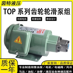 Pompe à engrenages 380V 12A 1 étage, pompe hydraulique taïwanaise pour lubrification de machines-outils et utilisation sur machines à vis - Product Image 4
