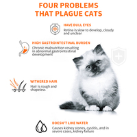 Friandises pour animaux de compagnie personnalisables directement de l'usine, collations humides riches en protéines et saines pour chats et chiens, en plusieurs saveurs